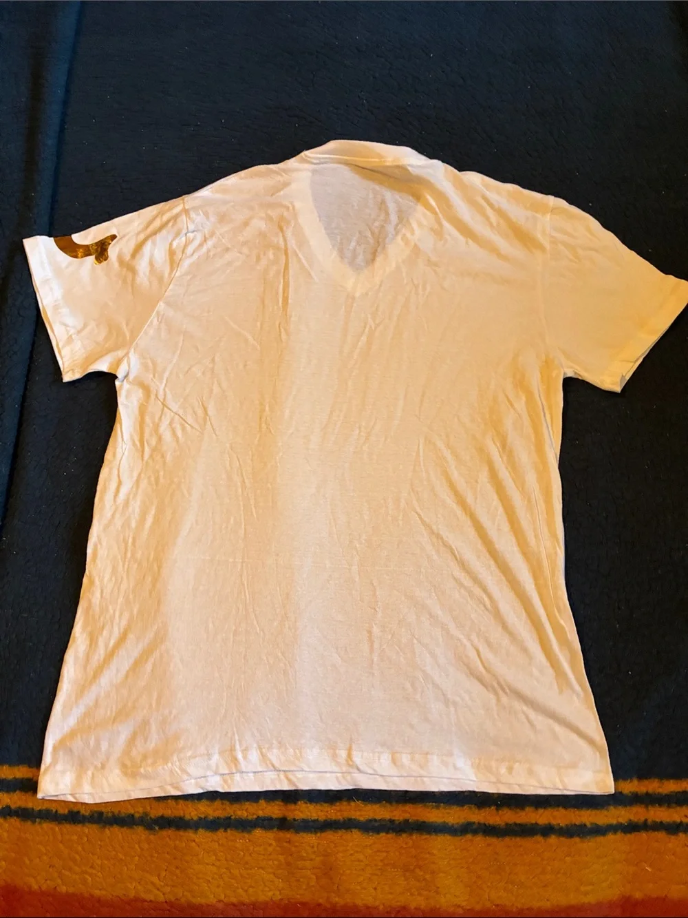 True Religion Men’s V-Neck T-Shirt